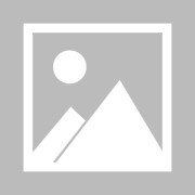 乐鱼官方- 鹈鹕锡安体重管理见效，近五战场均25分强势反弹  