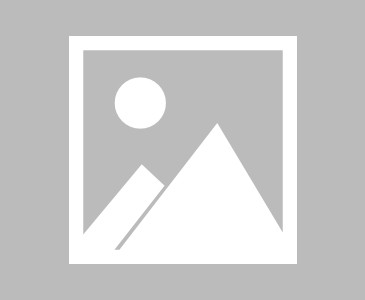 乐鱼官方- 鹈鹕锡安体重管理见效，近五战场均25分强势反弹  